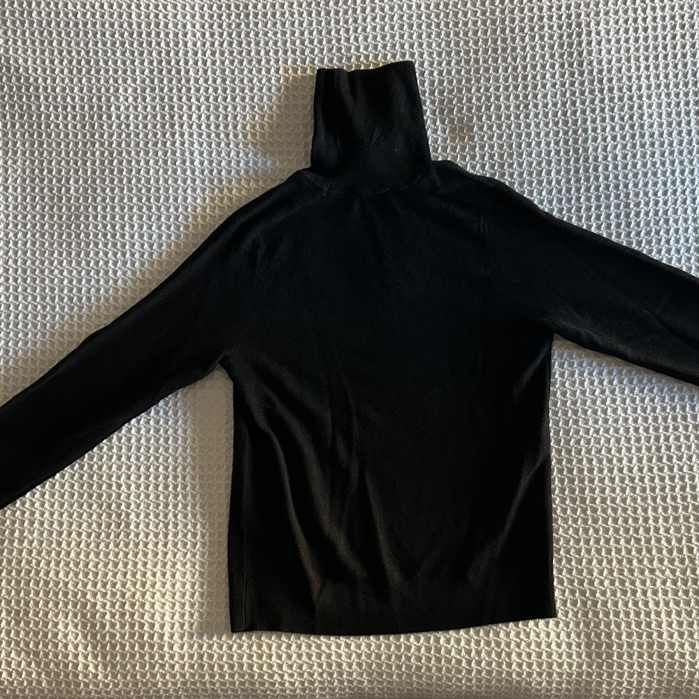 Quince 100% Mongolian Cashmere Turtleneck Sweater